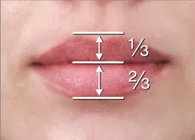 lip proportion ethos spa