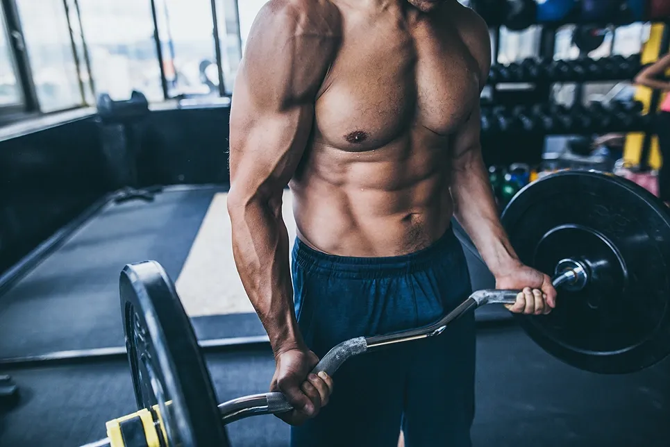 Muscular man lifting a curl bar in the gym